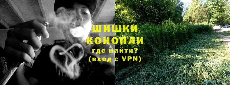 Шишки марихуана THC 21%  блэк спрут ССЫЛКА  Городец 